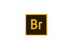 Adobe Bridge CC 2019破解版